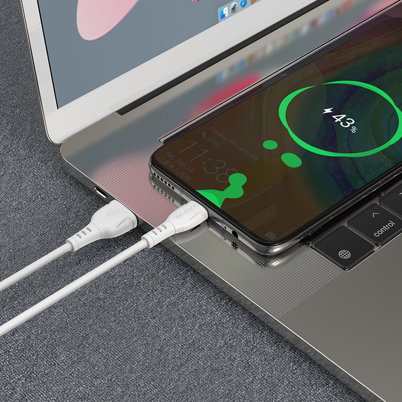 Câble de Données et de Charge USB-A - USB-C Borofone BX51 Triumph, 20W, 1m, Blanc