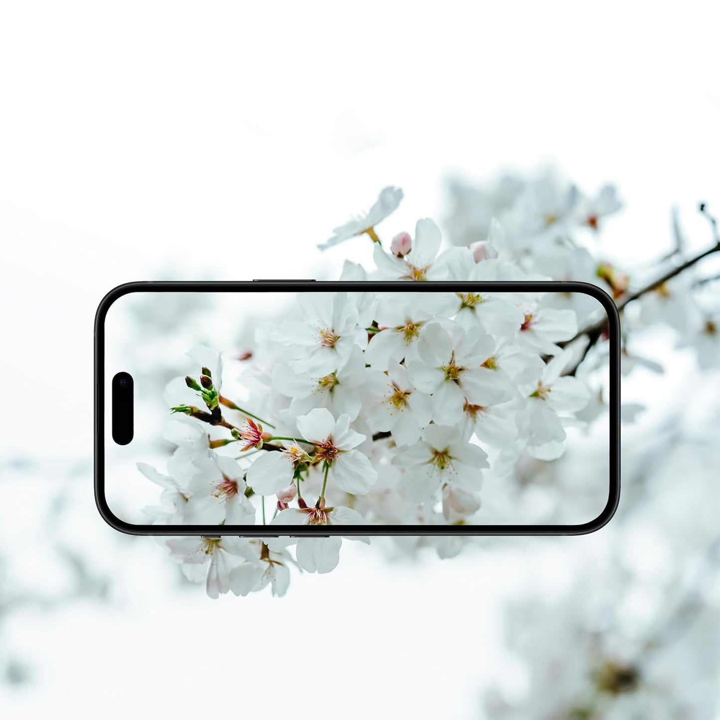 Film de protection pour caméra arrière Anank AR pour Apple iPhone 17 Air, Verre Trempé, Multicolore