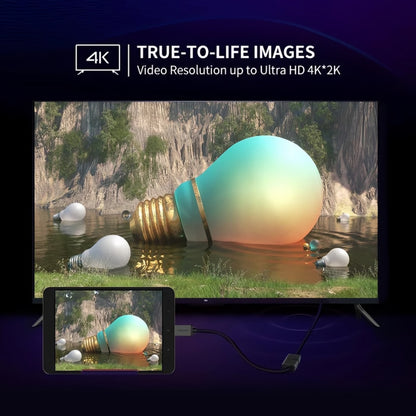 Videoadapter UGREEN 20137, miniHDMI - HDMI, 4K, Schwarz