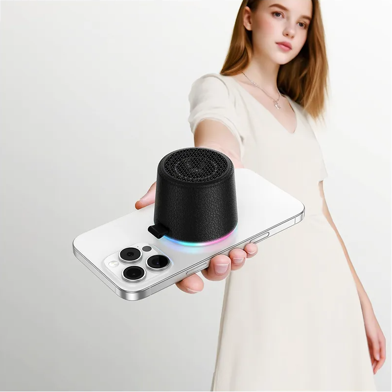 Enceinte Portable Bluetooth HOCO HC49 Mini Magnétique, 8W, TWS, Noire