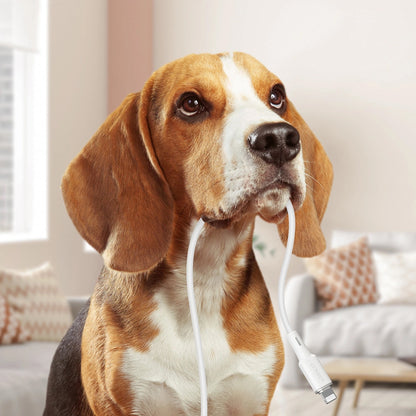 Câble de Données et de Charge USB-C - Lightning Acefast C2-01, 30W, 1.2m, Noir