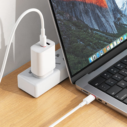 Câble de Données et de Charge USB-C - USB-C Borofone BX110 Beneficio, 60W, 1m, Blanc