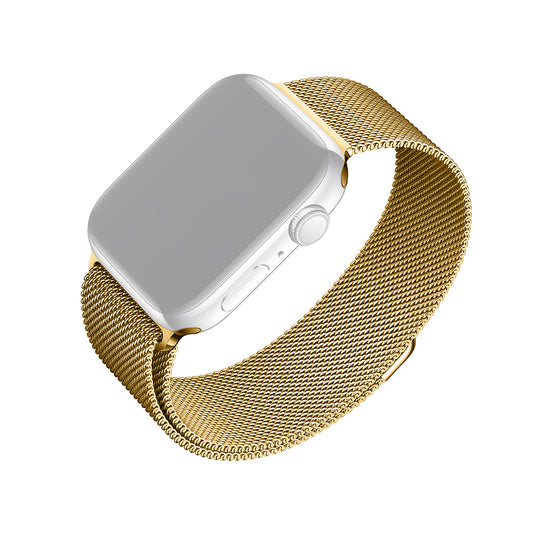 Bracelet Fixed Mesh pour Apple Watch 42mm / 41mm / 40mm / 38mm Series, Doré
