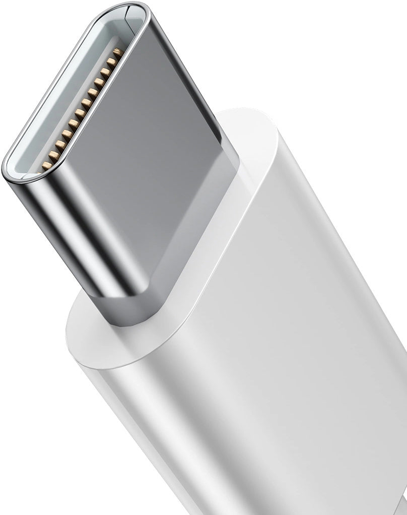 Écouteurs USB-C Joyroom JR-EC05, Blanc