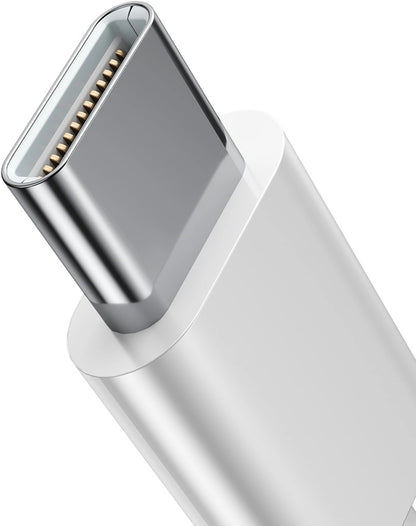 Écouteurs USB-C Joyroom JR-EC05, Blanc