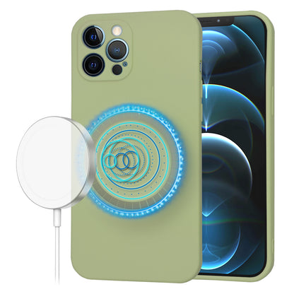 Coque MagSafe pour Apple iPhone 12 Pro Max, Techsuit, SoftFlex, Matcha