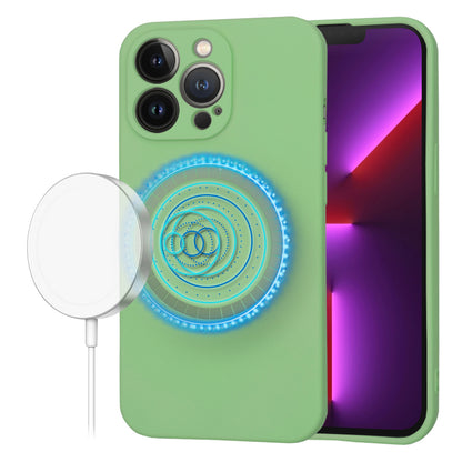 Coque MagSafe pour Apple iPhone 13 Pro, Techsuit, SoftFlex, Vert Clair