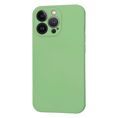 Coque MagSafe pour Apple iPhone 13 Pro, Techsuit, SoftFlex, Vert Clair