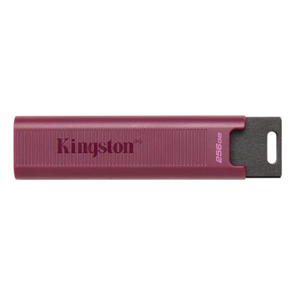 Externer USB-A 3.2 Speicher Kingston DT Max, 256Gb DTMAXA/256GB