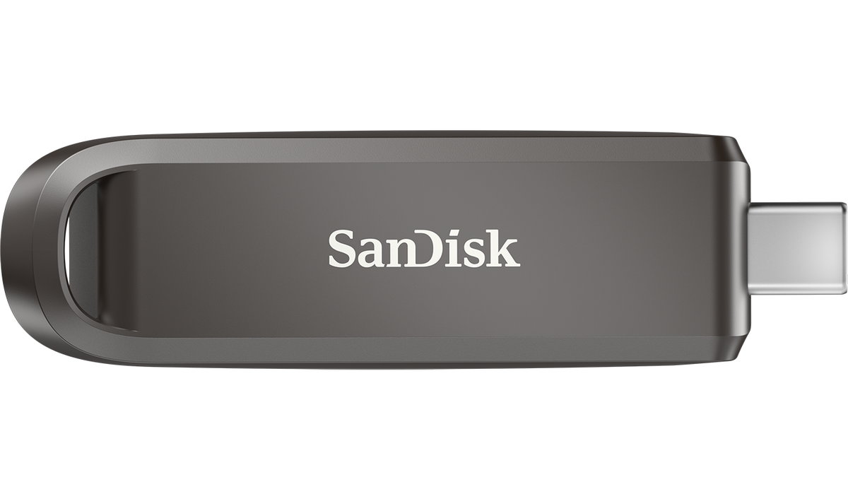 Mémoire Externe USB-C SanDisk Extreme Pro, 256Go SDCZ890-256G-G46