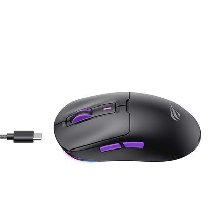 Souris Gaming Sans Fil HAVIT MS969WB, RGB, 1000DPI - 16000DPI, Noir