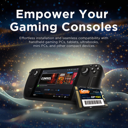 Solid State Drive (SSD) Dato DP430, NVME M.2 2230, PCIE Gen4x4, 1TB, Noir DP430SSD-1TB