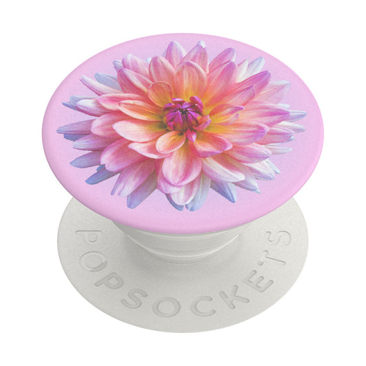 Support PopGrip Popsockets Dahlia Icon, Multicolore